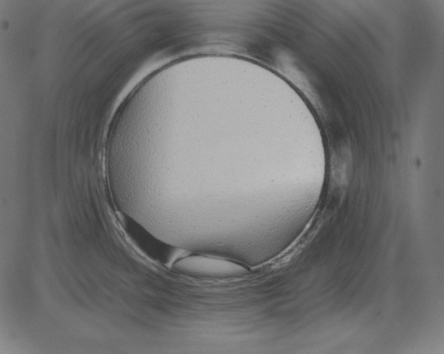 X0000081351436200702020103