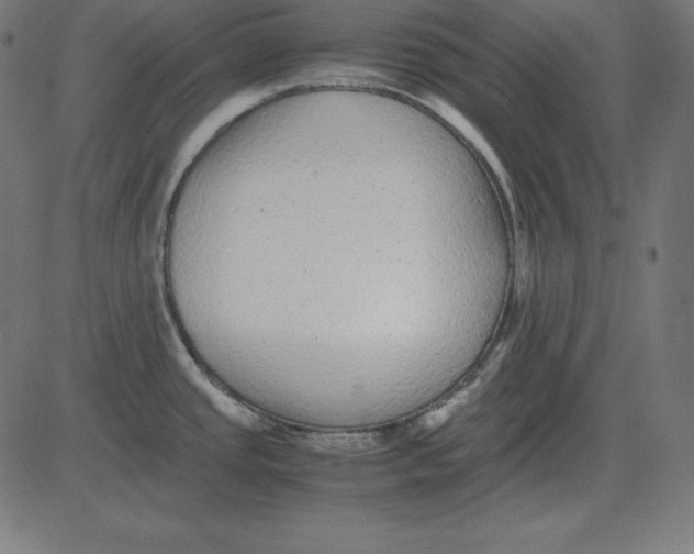 X0000081351437200702020103