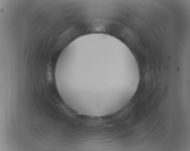X0000081351442200702020103
