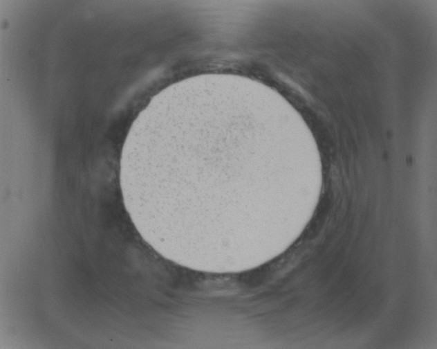 X0000081351447200702020102