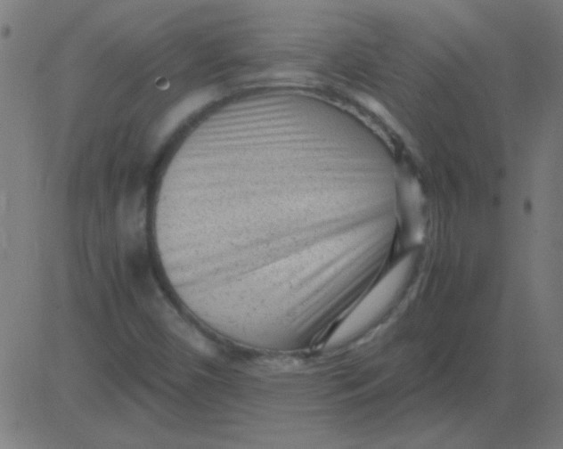 X0000081351450200702020102
