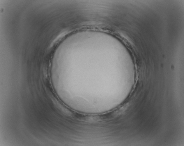 X0000081351451200702020102