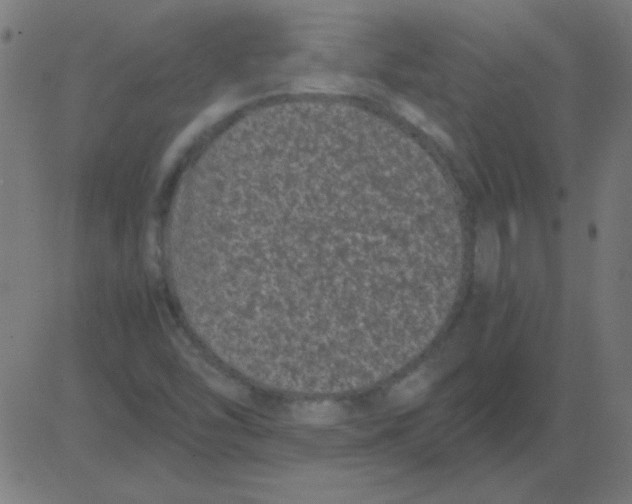 X0000081351454200702020102