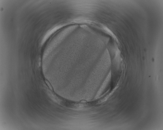 X0000081351461200702020102