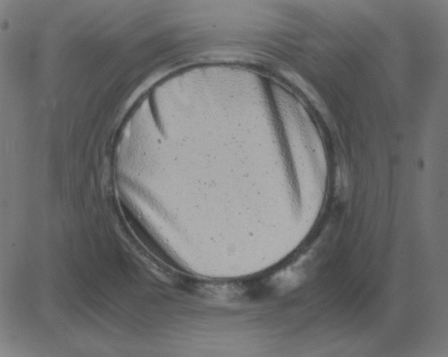 X0000081351465200702020102