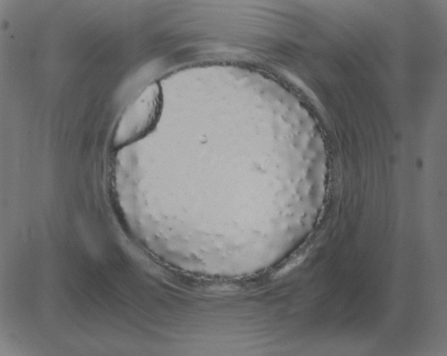 X0000081351467200702020102
