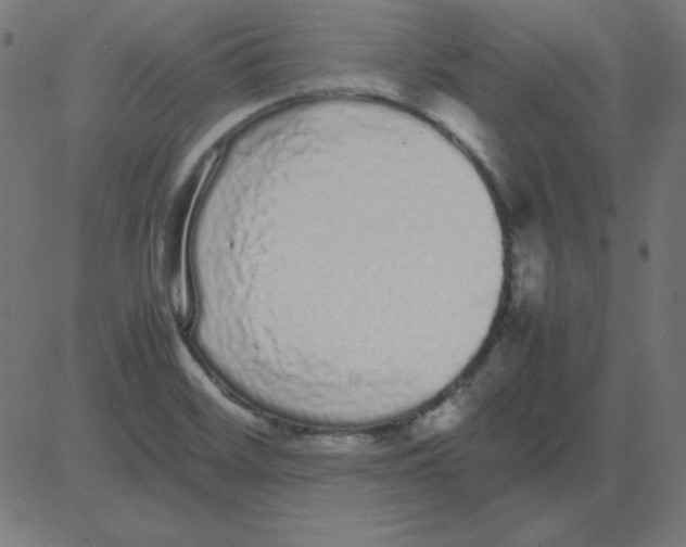 X0000081351468200702020102