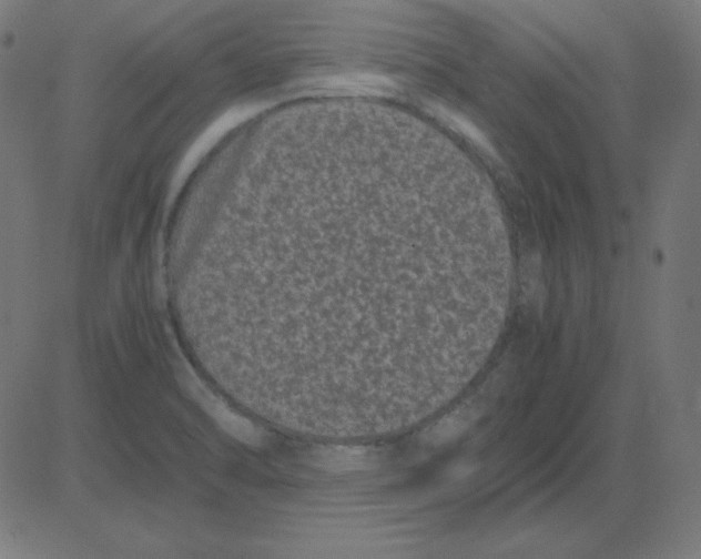 X0000081351470200702020102