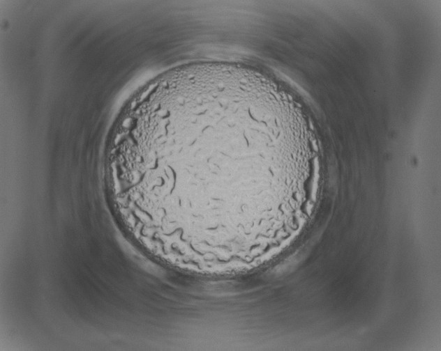 X0000081351471200702020102