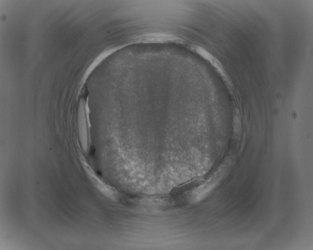 X0000081351473200702020102