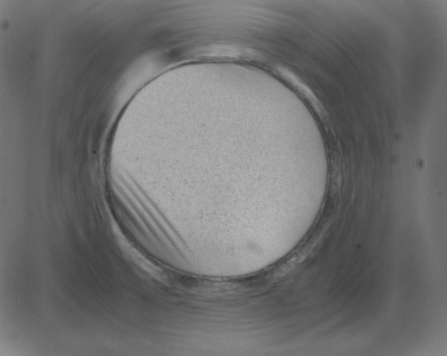 X0000081351475200702020102