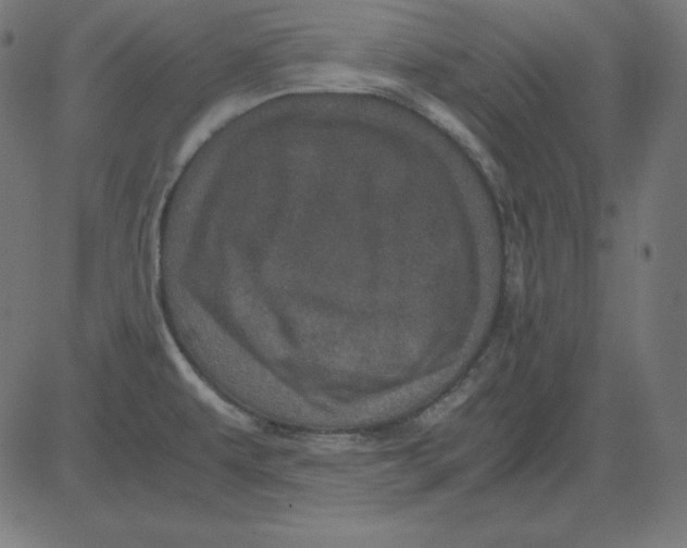 X0000081351479200702020102