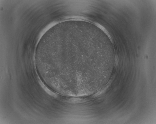 X0000081351482200702020102