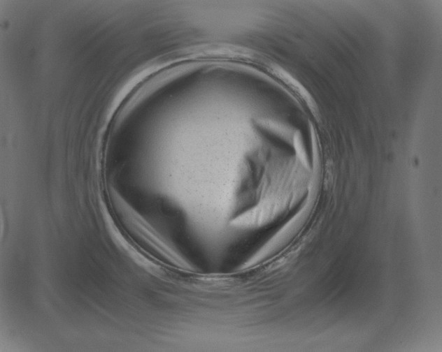 X0000081351483200702020102