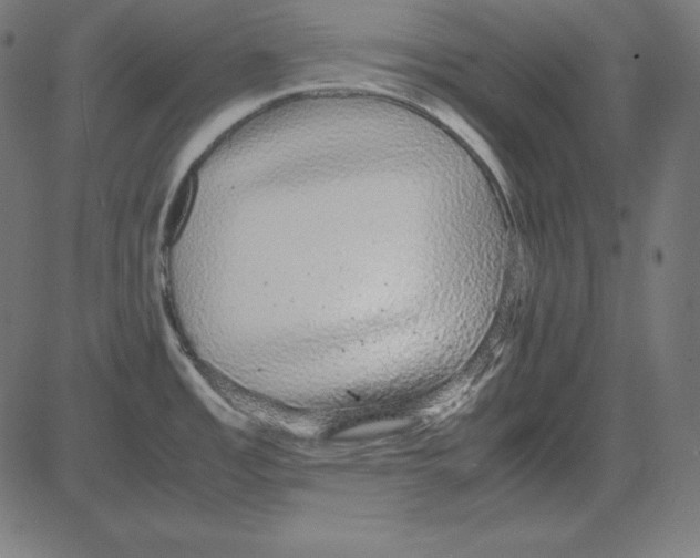 X0000081351485200702020102