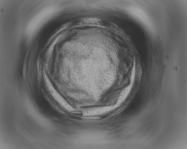 X0000081351487200702020102
