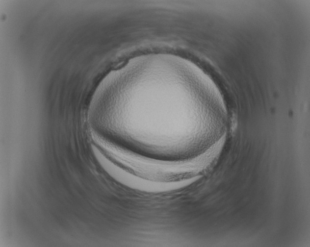 X0000081351492200702020101