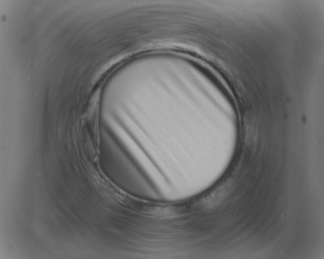 X0000081351497200702020101
