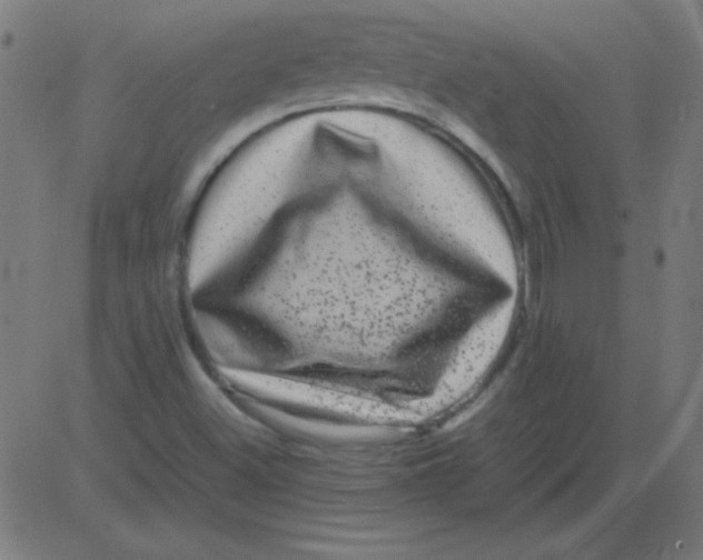 X0000081351500200702020101