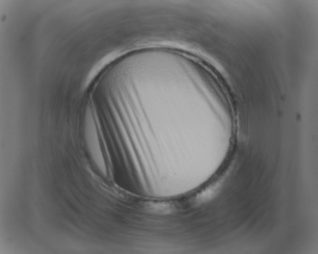X0000081351501200702020101