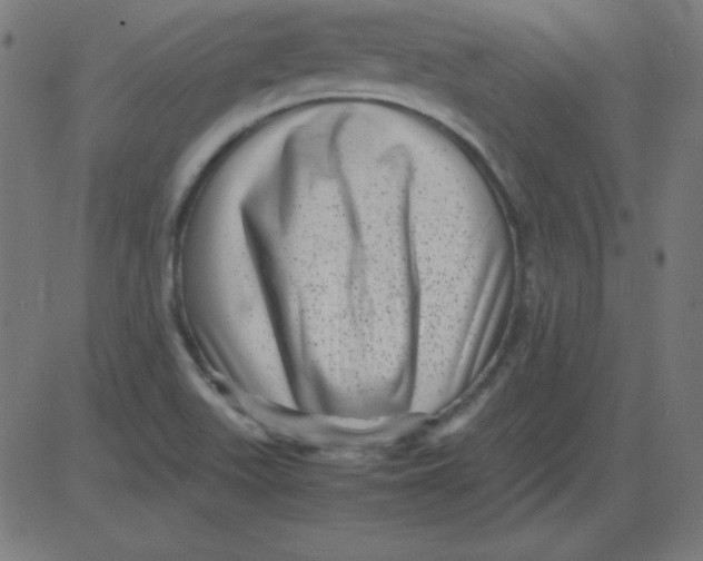 X0000081351511200702020101