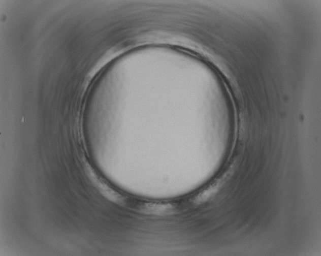 X0000081351513200702020101