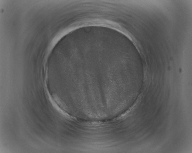 X0000081351515200702020101