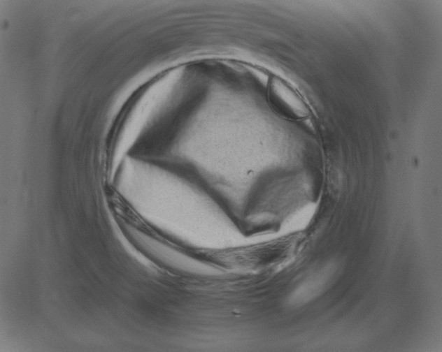 X0000081351519200702020101