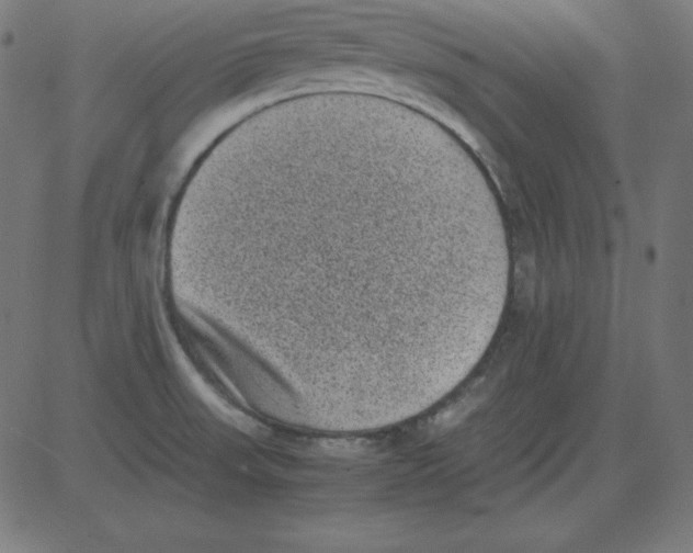 X0000081351523200702020101