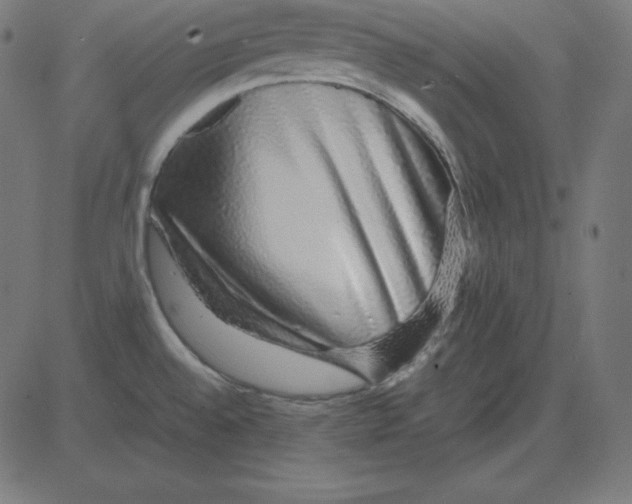 X0000081351528200702020102