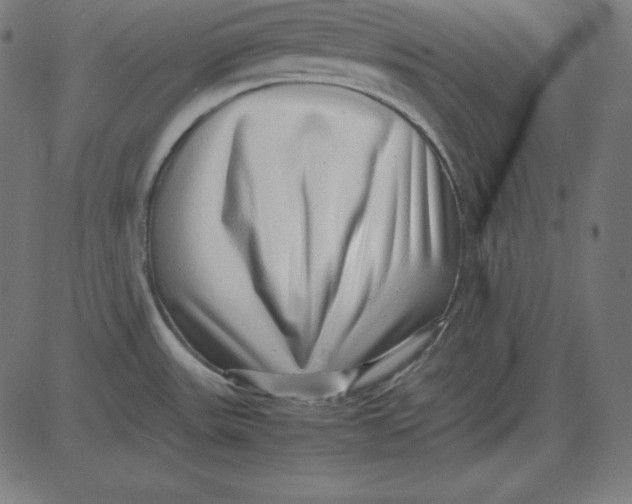 X0000081351531200702020102