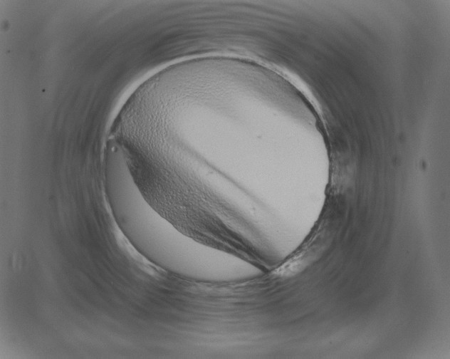 X0000081351532200702020102