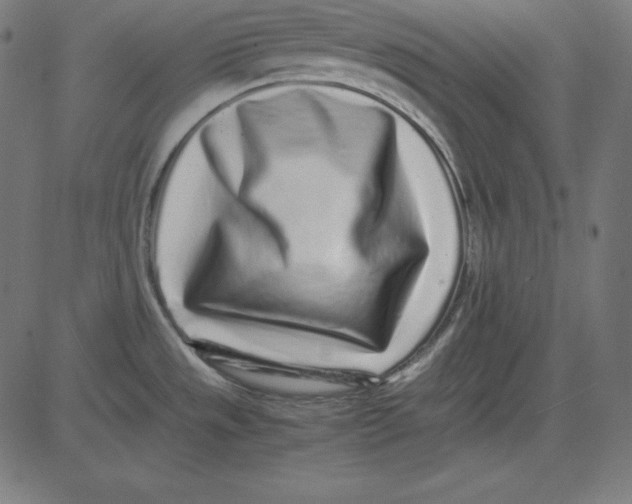 X0000081351533200702020102