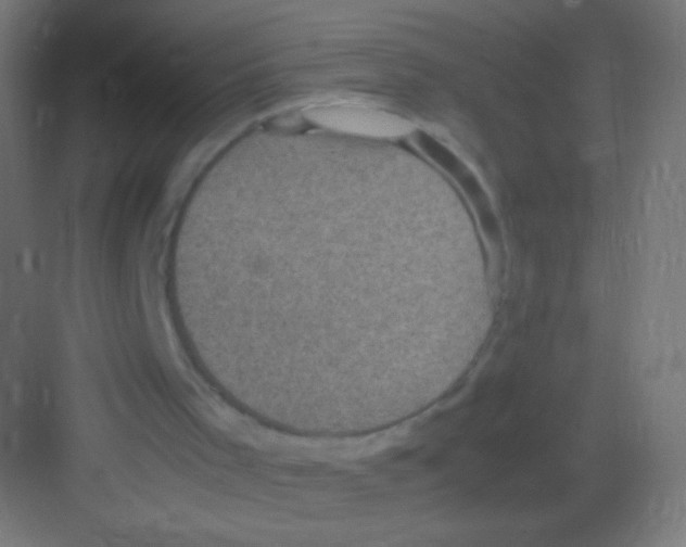 X0000081350001200702082306