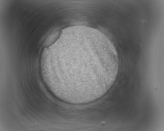 X0000081350002200702082306