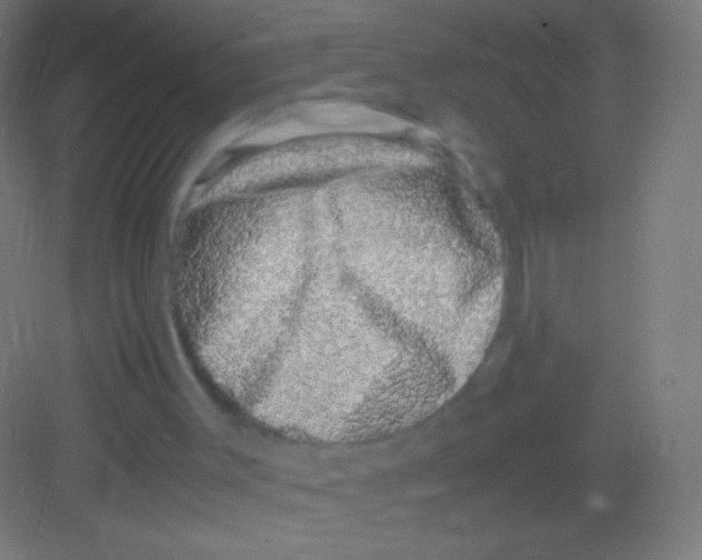 X0000081350003200702082306