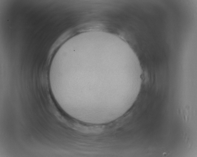 X0000081350004200702082306