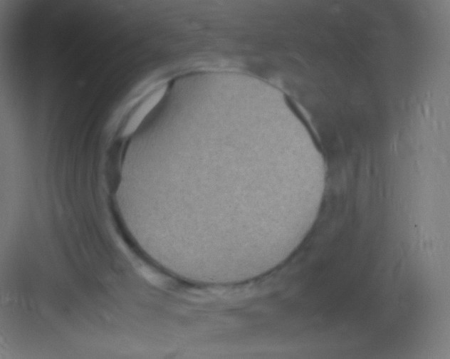 X0000081350005200702082306