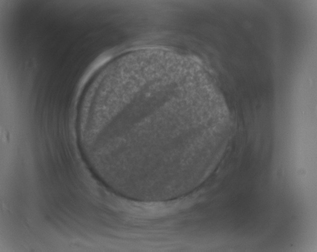 X0000081350006200702082306