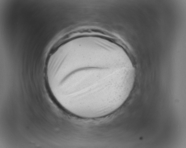 X0000081350007200702082306