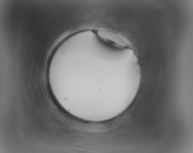 X0000081350008200702082306