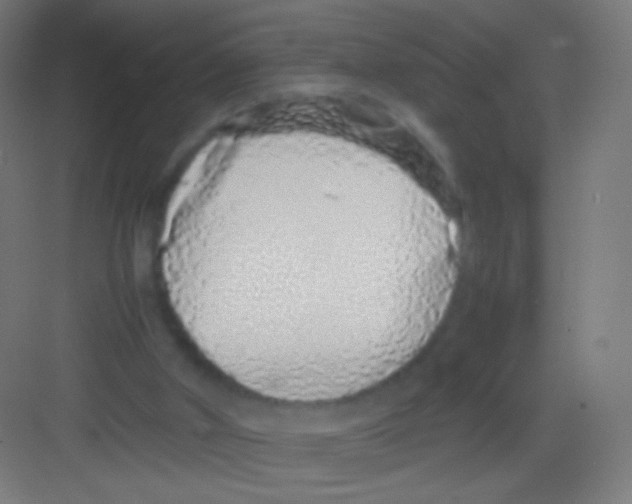 X0000081350010200702082306