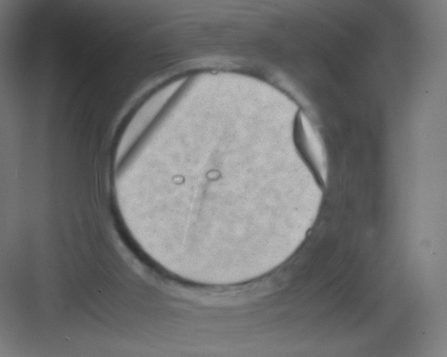 X0000081350011200702082306