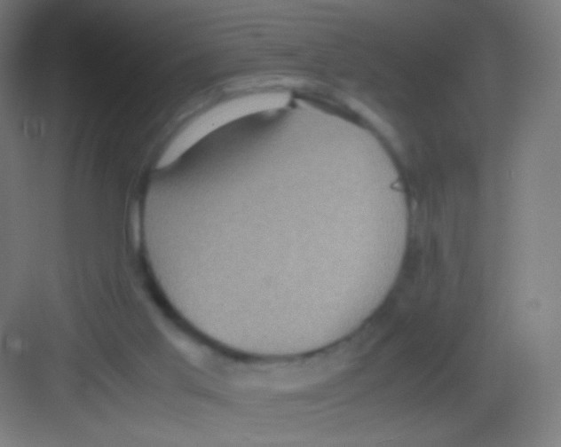 X0000081350013200702082306