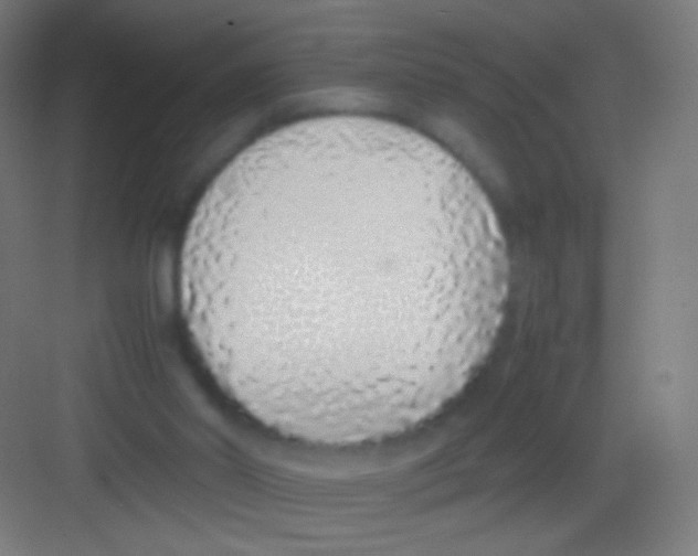 X0000081350014200702082306