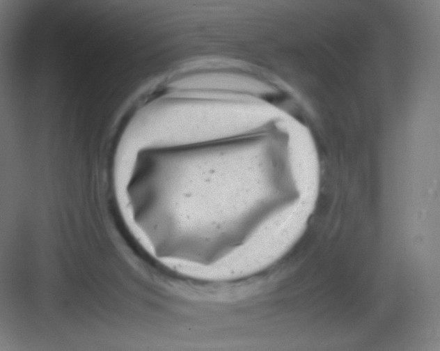 X0000081350015200702082306