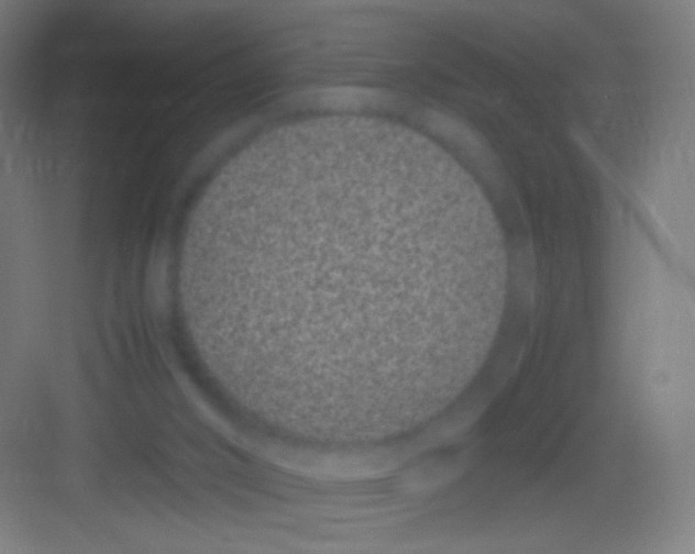 X0000081350016200702082306