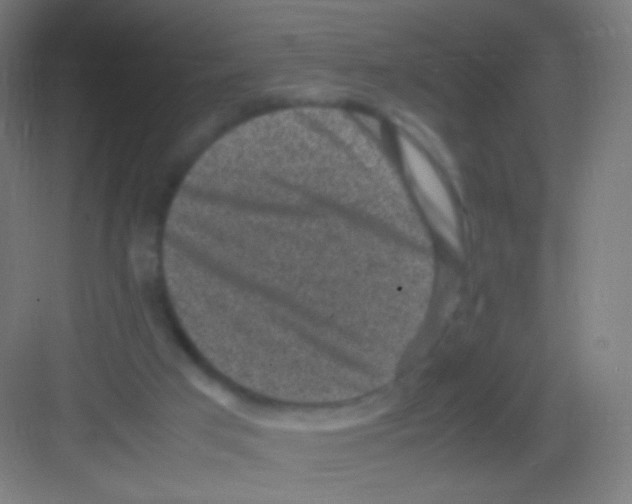 X0000081350017200702082306