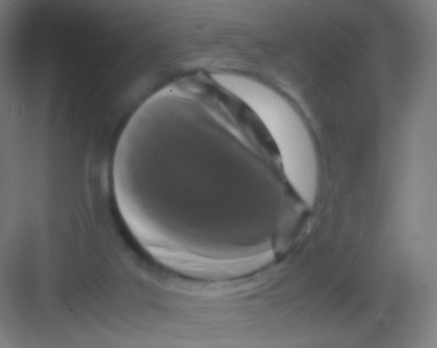 X0000081350019200702082306