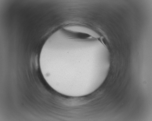 X0000081350020200702082306